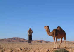 camel.jpg (32472 bytes)