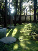 Moss garden.JPG (67379 bytes)