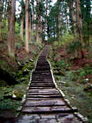 Haguro San steps.JPG (119992 bytes)